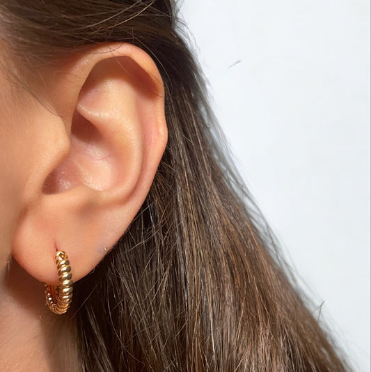 Small Hoop Earrings