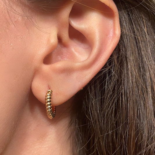 Small Hoop Earrings